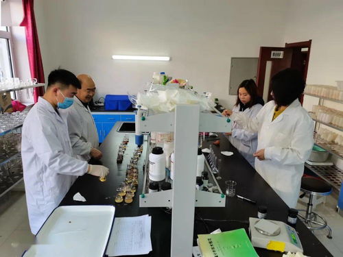 包頭市農(nóng)業(yè)技術(shù)推廣中心全力推進化肥減量增效項目土樣檢測工作