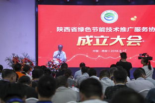 陜西省綠色節(jié)能技術(shù)推廣服務(wù)協(xié)會計算機系統(tǒng)服務(wù)分會隆重成立