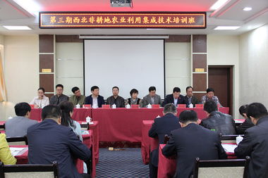 技術推廣服務中心 驅動創新與產業升級的核心引擎